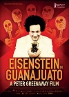 爱森斯坦在瓜纳华托 Eisenstein in Guanajuato